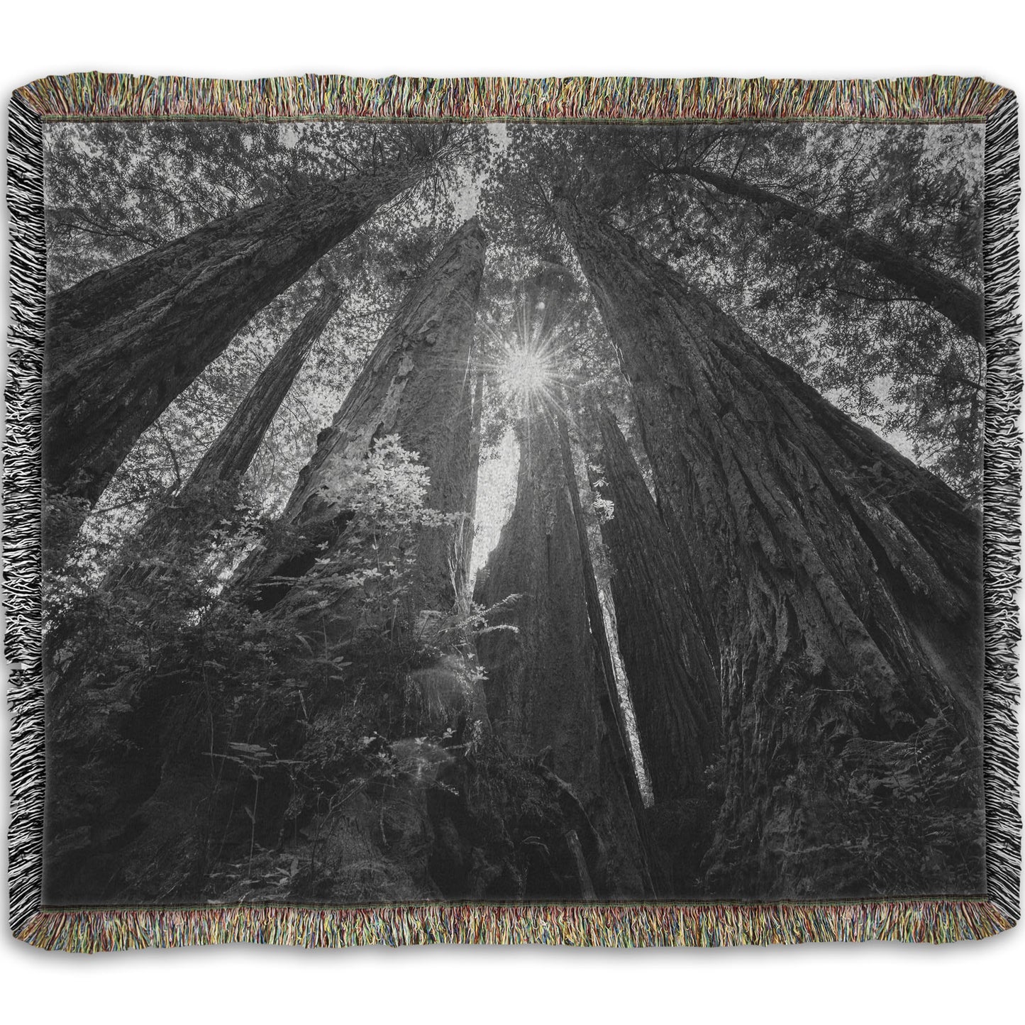 Woven throw blanket designed with a black and white photo looking up at the giant redwood trees in Redwood National Park, California.