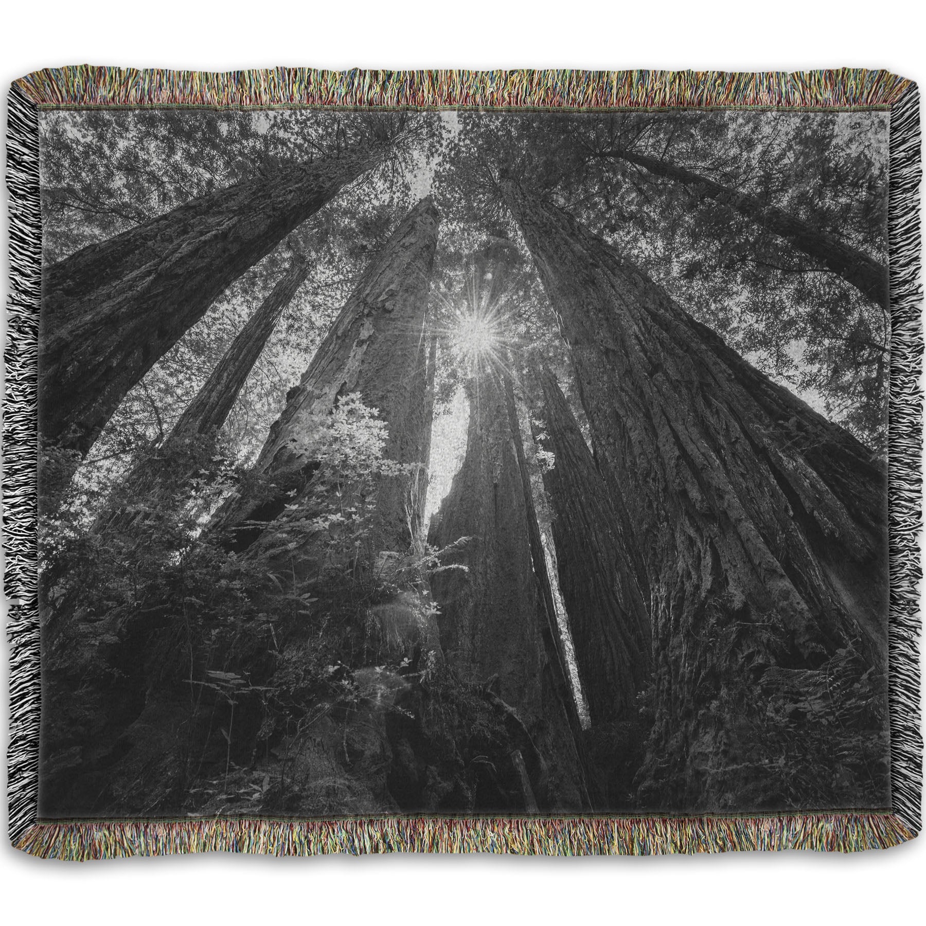 Woven throw blanket designed with a black and white photo looking up at the giant redwood trees in Redwood National Park, California.
