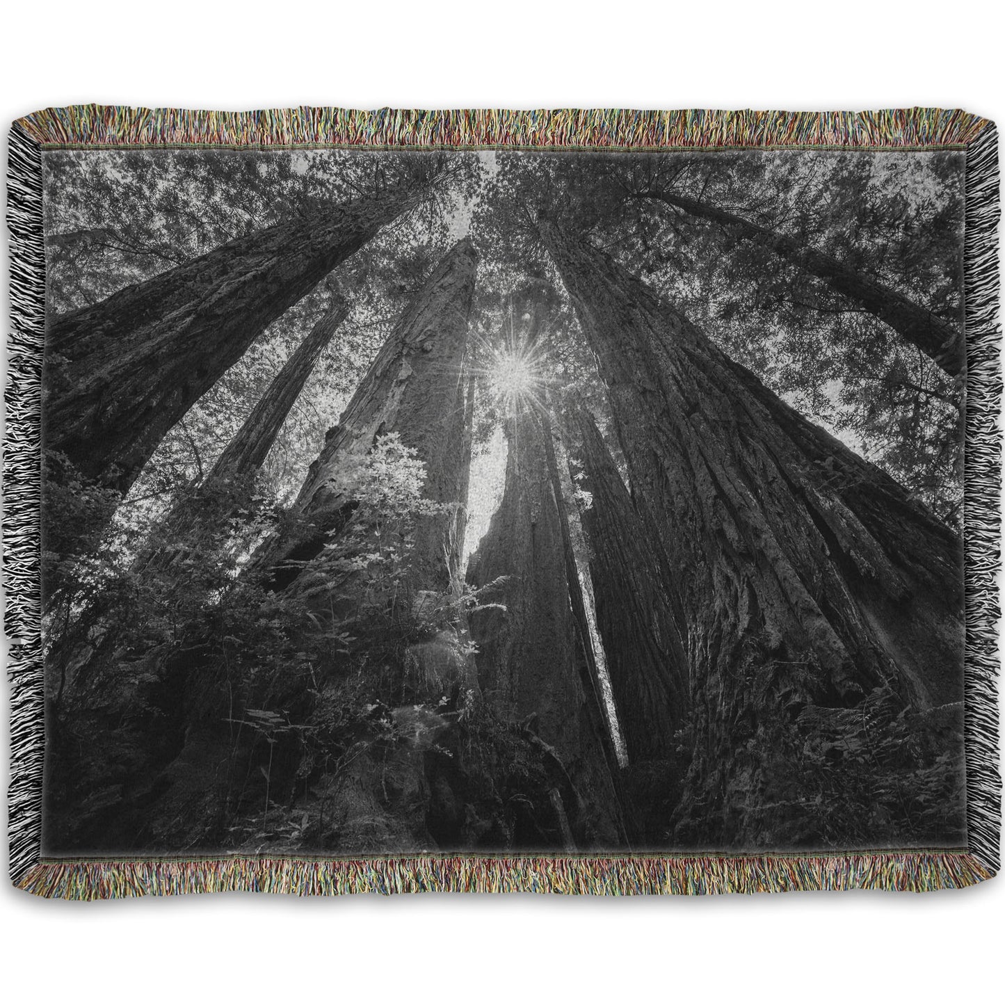 Woven throw blanket designed with a black and white photo looking up at the giant redwood trees in Redwood National Park, California.