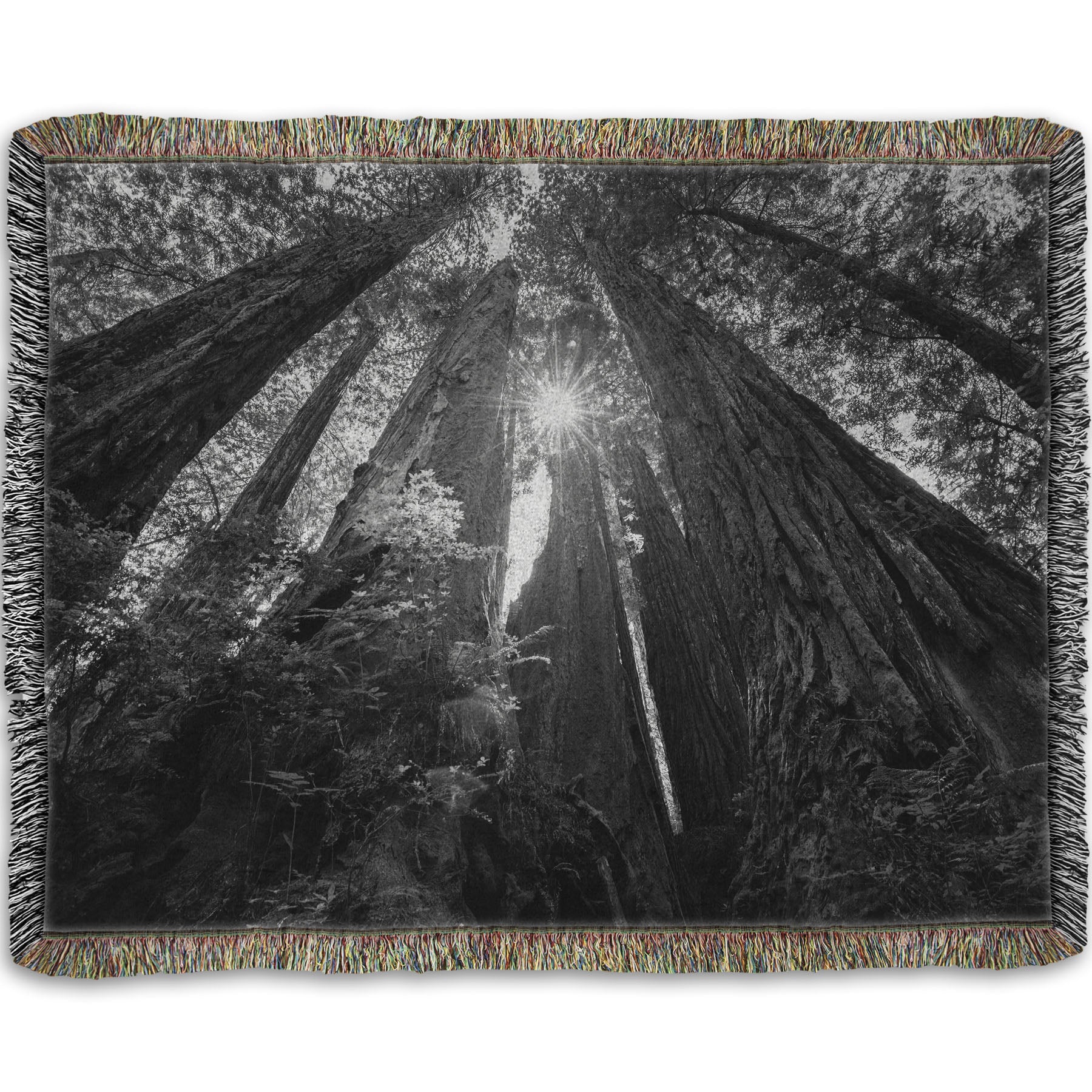 Woven throw blanket designed with a black and white photo looking up at the giant redwood trees in Redwood National Park, California.