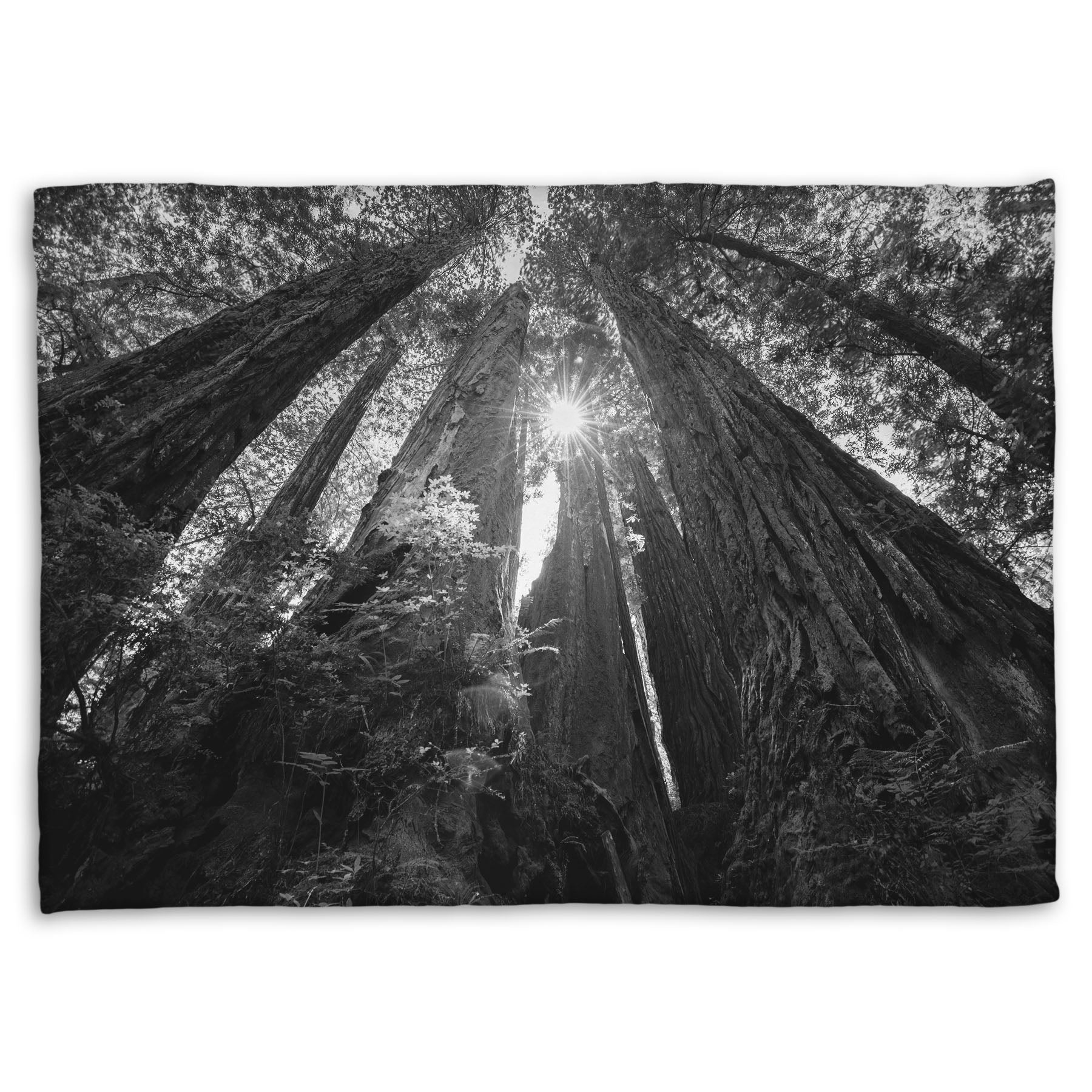 Coral fleece blanket designed with a black and white photo looking up at the giant redwood trees in Redwood National Park, California.