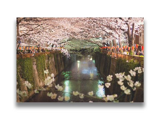 Photo of cherry blossom trees over a canal at Meguro River in Tokyo, Japan. Printed on canvas.