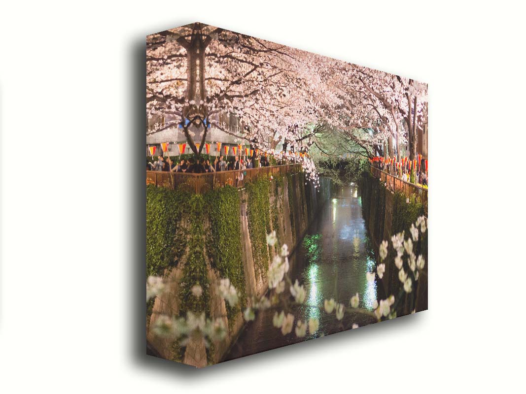 Photo of cherry blossom trees over a canal at Meguro River in Tokyo, Japan. Printed on canvas.