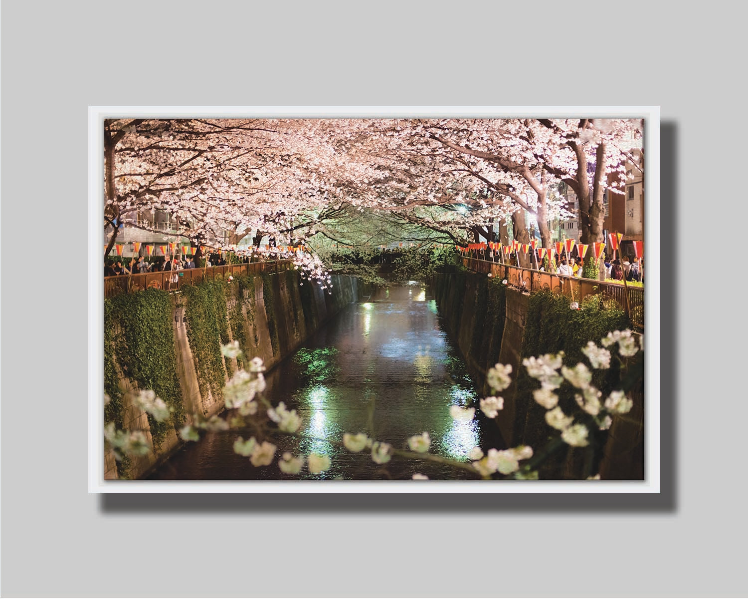 Photo of cherry blossom trees over a canal at Meguro River in Tokyo, Japan. Printed on canvas in a float frame.