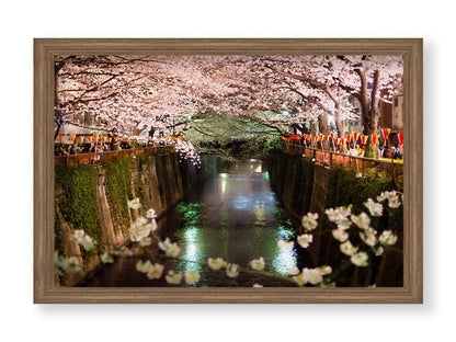 Photo of cherry blossom trees over a canal at Meguro River in Tokyo, Japan. Printed on canvas and framed.