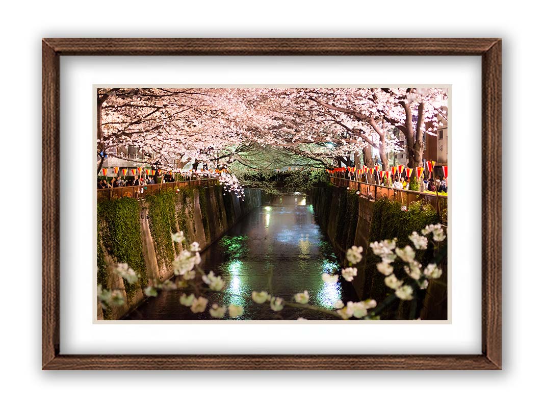 Photo of cherry blossom trees over a canal at Meguro River in Tokyo, Japan. Printed on paper, matted, and framed.