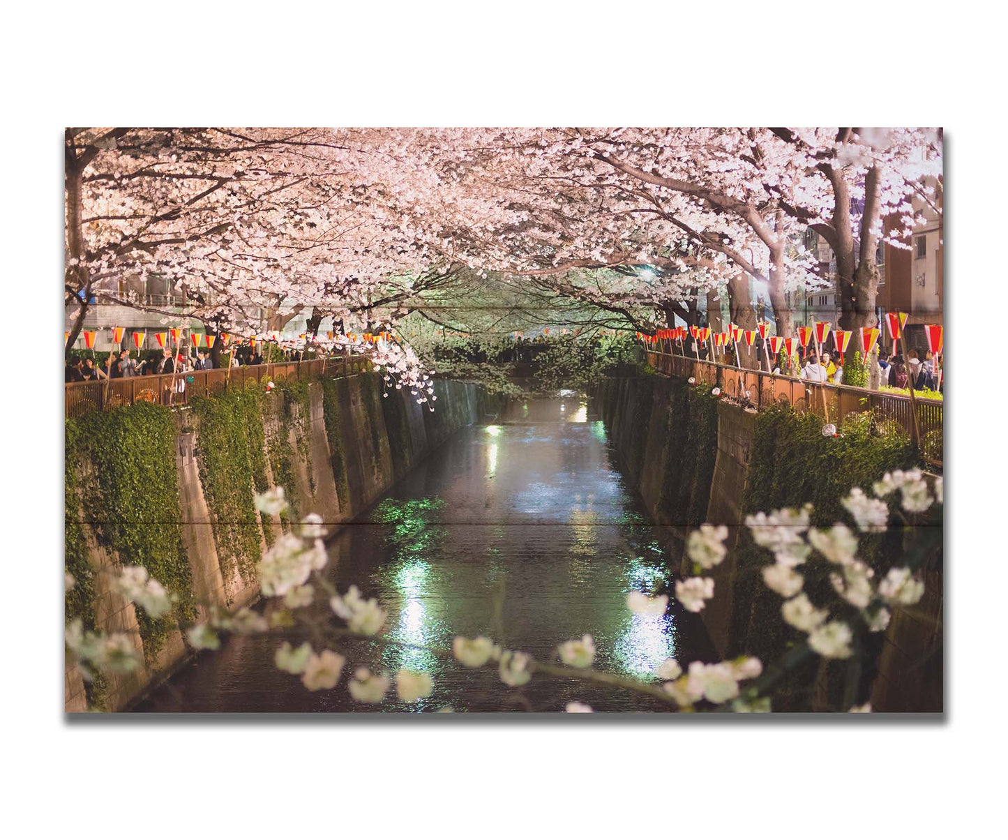 Photo of cherry blossom trees over a canal at Meguro River in Tokyo, Japan. Printed on a box board.