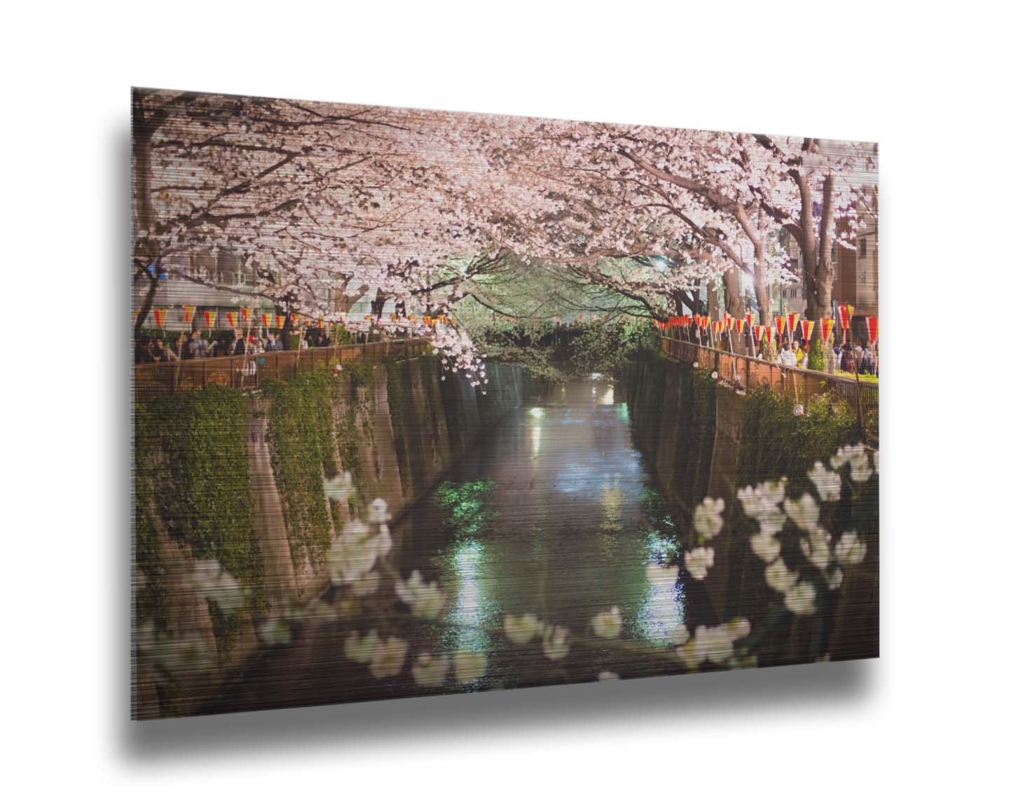 Photo of cherry blossom trees over a canal at Meguro River in Tokyo, Japan. Printed on metal.