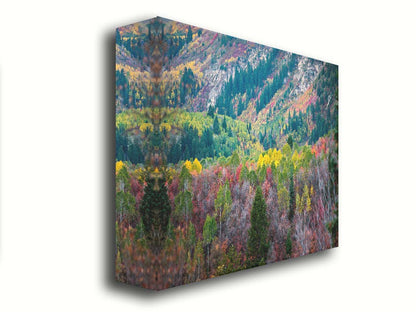 A photo looking down on a forest at the Sundance Mountain Resort in Utah. The trees are changing colors, ranging from green, yellow, and red to no leaves at all. Printed on canvas.