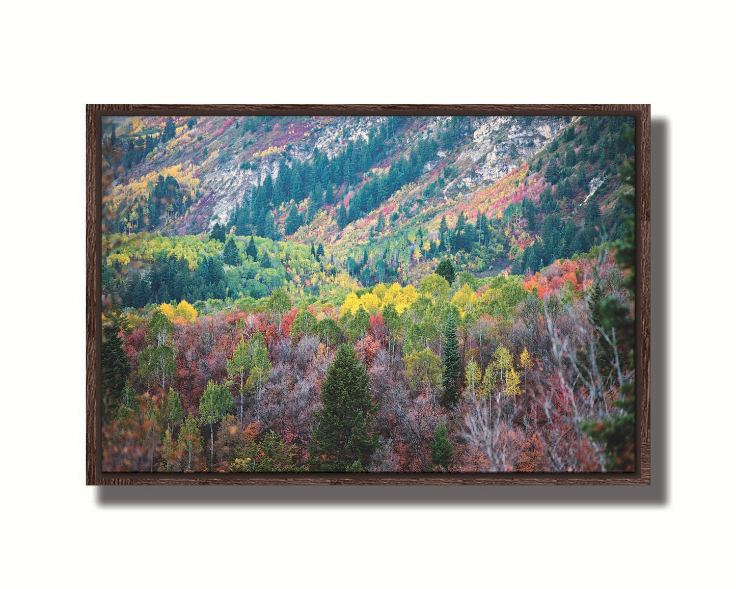 A photo looking down on a forest at the Sundance Mountain Resort in Utah. The trees are changing colors, ranging from green, yellow, and red to no leaves at all. Printed on canvas in a float frame.