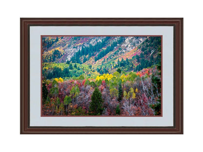 A photo looking down on a forest at the Sundance Mountain Resort in Utah. The trees are changing colors, ranging from green, yellow, and red to no leaves at all. Printed on paper, matted, and framed.