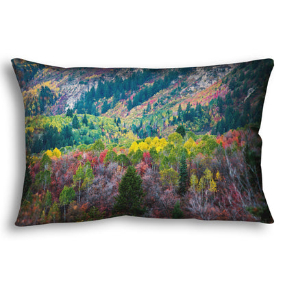 A throw pillow designed with a photo looking down on a forest at the Sundance Mountain Resort in Utah. The trees are changing colors, ranging from green, yellow, and red to no leaves at all.