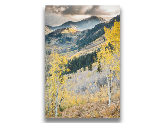 Photo of a mountainous forest, with dark evergreens and yellow birches. Printed on canvas.