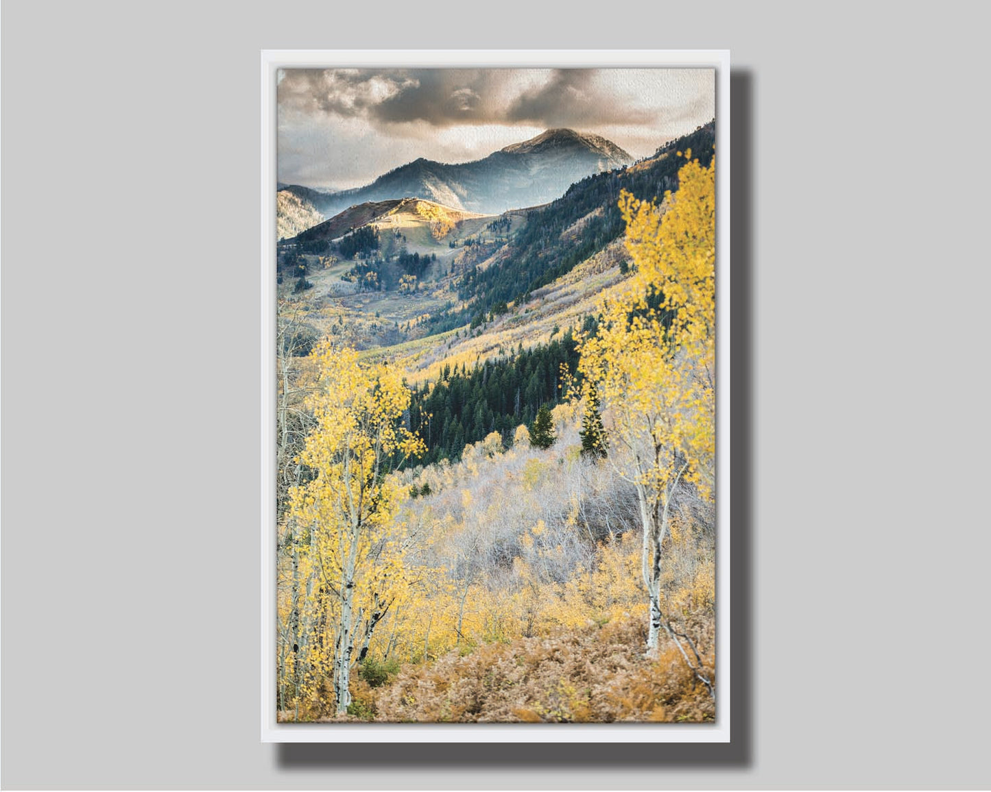 Photo of a mountainous forest, with dark evergreens and yellow birches. Printed on canvas in a float frame.