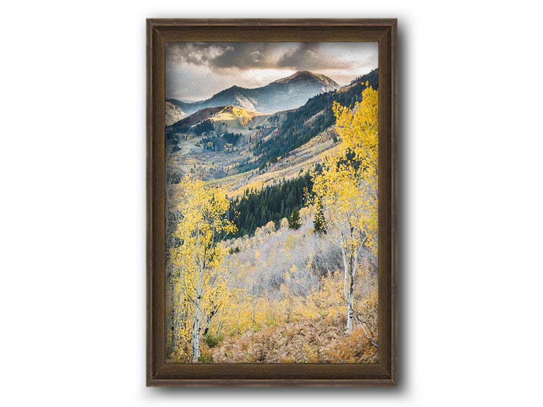 Photo of a mountainous forest, with dark evergreens and yellow birches. Printed on canvas and framed.