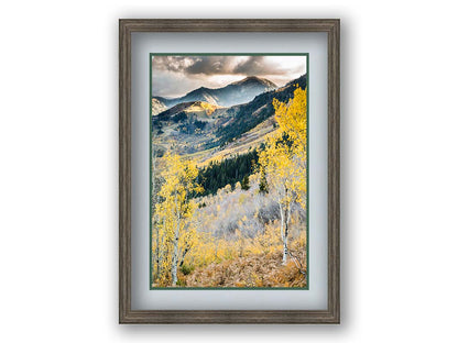 Photo of a mountainous forest, with dark evergreens and yellow birches. Printed on paper, matted, and framed.