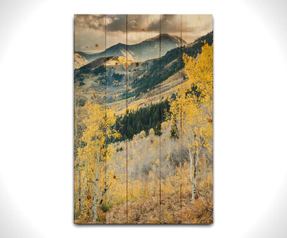 Photo of a mountainous forest, with dark evergreens and yellow birches. Printed on a wood pallet.