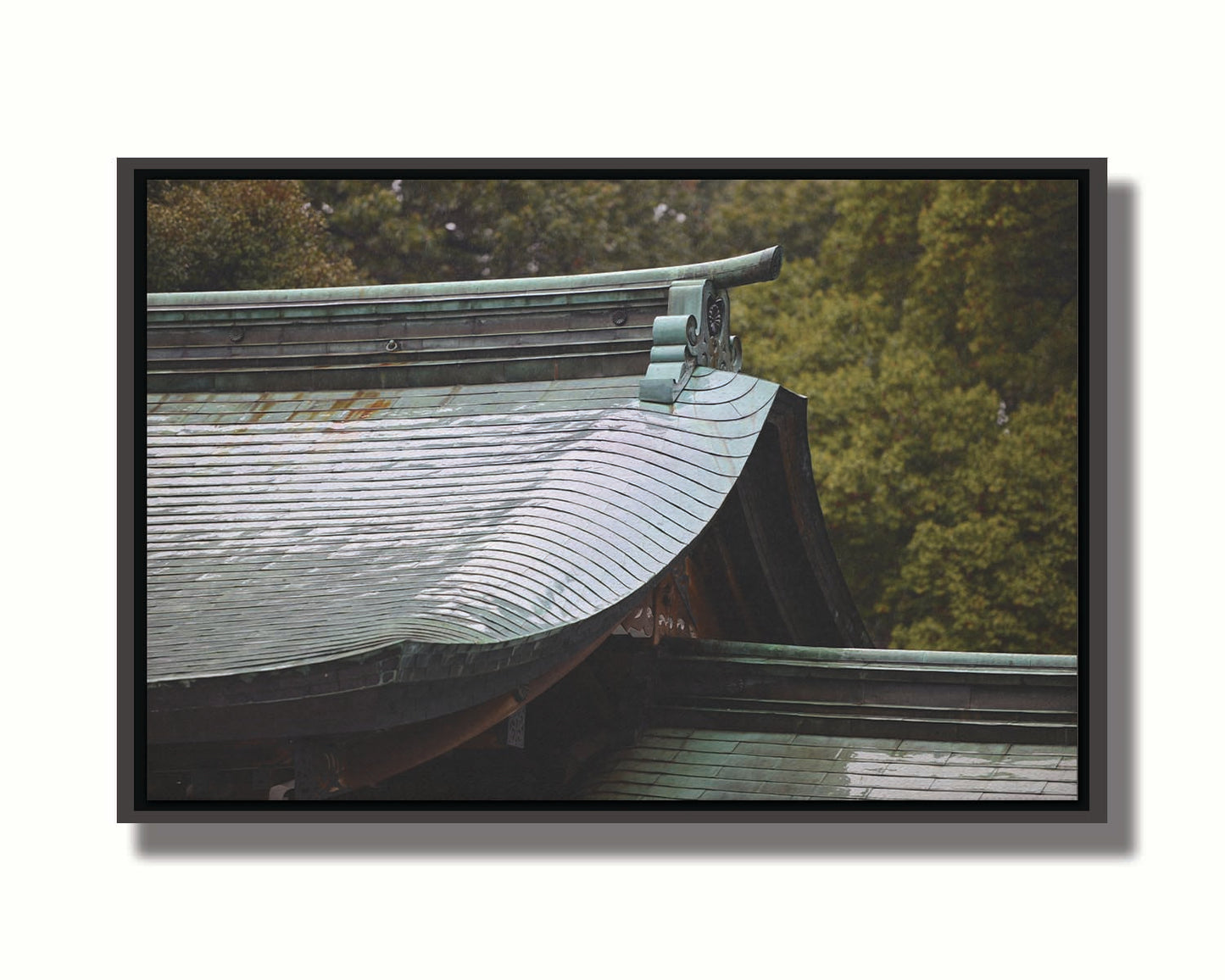 Close-up photo showing the details of the Meiji Jingu Shrine roof in Shibuya, Tokyo, reflective with the shine of rain water. Printed on canvas in a float frame.