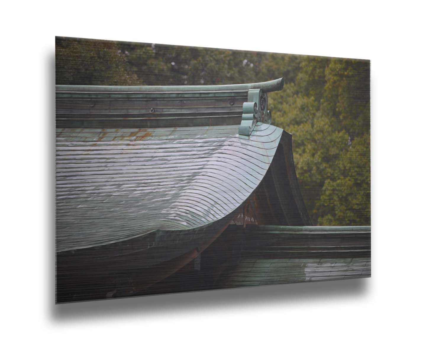 Close-up photo showing the details of the Meiji Jingu Shrine roof in Shibuya, Tokyo, reflective with the shine of rain water. Printed on metal.