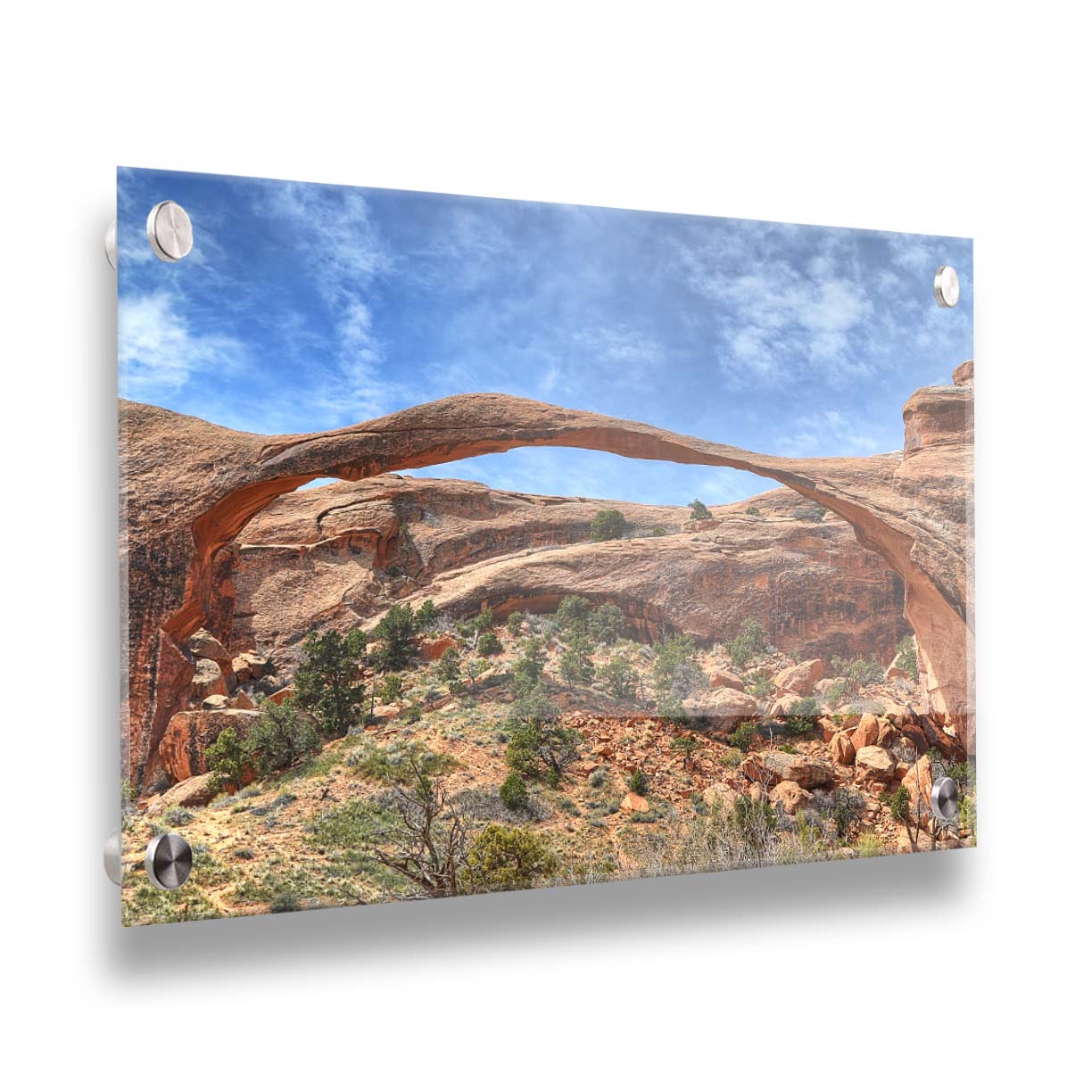 A photo of Landscape Arch at Arches National Park. A long, thin arch of orange and brown stone reaches across a bright blue sky. Printed on acrylic.