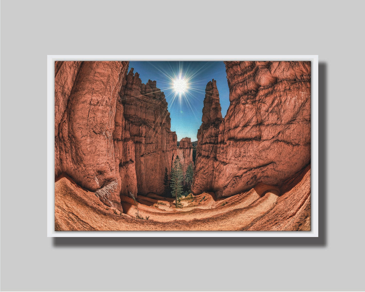 Photo of the Navajo Loop Switchbacks rock formation at Bryce Canyon National Park in Utah. It is taken wit a fish eye lens perspective which emphasizes the height and depth of the structures. A bright blue sky peeks out between parallel walls of red stone, and the bright white rays of the perfectly centered sun shine down between. Printed on canvas in a float frame.