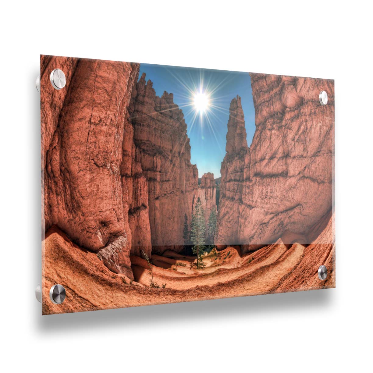 Photo of the Navajo Loop Switchbacks rock formation at Bryce Canyon National Park in Utah. It is taken wit a fish eye lens perspective which emphasizes the height and depth of the structures. A bright blue sky peeks out between parallel walls of red stone, and the bright white rays of the perfectly centered sun shine down between. Printed on acrylic.