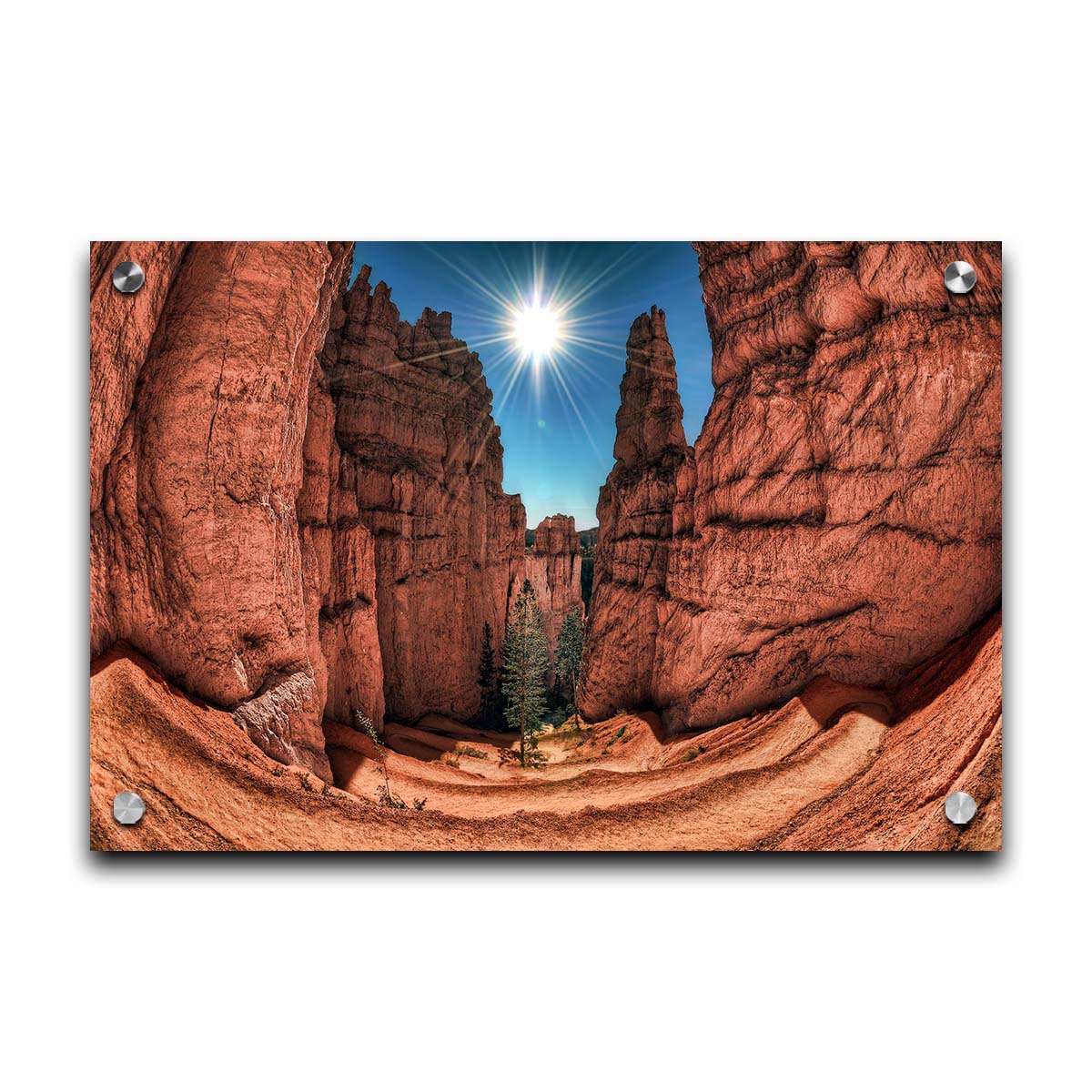 Photo of the Navajo Loop Switchbacks rock formation at Bryce Canyon National Park in Utah. It is taken wit a fish eye lens perspective which emphasizes the height and depth of the structures. A bright blue sky peeks out between parallel walls of red stone, and the bright white rays of the perfectly centered sun shine down between. Printed on acrylic.