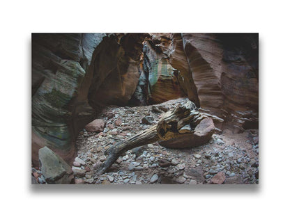 A photo from inside Pine Creek Canyon in Zion National Park, Utah. A piece of driftwood rests on a pile of eroded stones from the cliffaces. Printed on canvas.