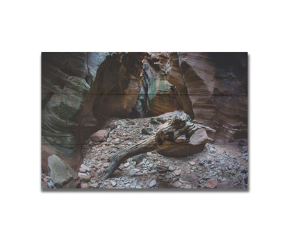 A photo from inside Pine Creek Canyon in Zion National Park, Utah. A piece of driftwood rests on a pile of eroded stones from the cliffaces. Printed on a box board.