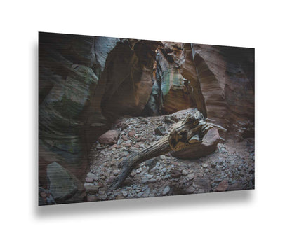 A photo from inside Pine Creek Canyon in Zion National Park, Utah. A piece of driftwood rests on a pile of eroded stones from the cliffaces. Printed on metal.