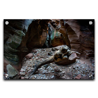 A photo from inside Pine Creek Canyon in Zion National Park, Utah. A piece of driftwood rests on a pile of eroded stones from the cliffaces. Printed on acrylic.