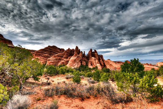 A photo of the Sandstone Fins rock formation in Arches National Park, Utah. The vertical slabs of orange sandstone stand out against the cloudy gray sky.