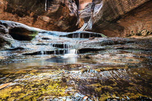 A photo of the Left Fork North Creek flowing through the Subway slot canyon in Utah's Zion National Park. It flows toward the camera, tumbling over slabs in the sandstone to create small waterfalls.
