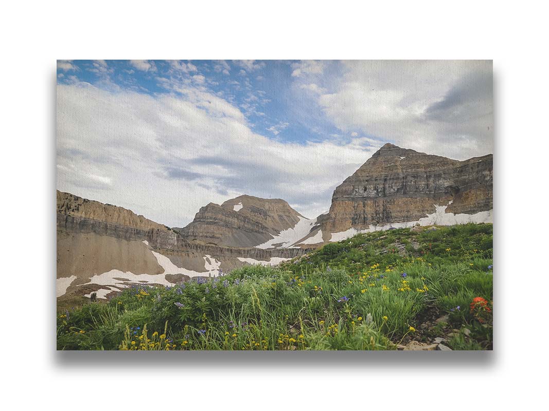 A photo of Mount Timpanogos in the summertime. There are a few banks of snow across the peaks, and a bright green field of wildflowers in full bloom in the foreground. Printed on canvas.