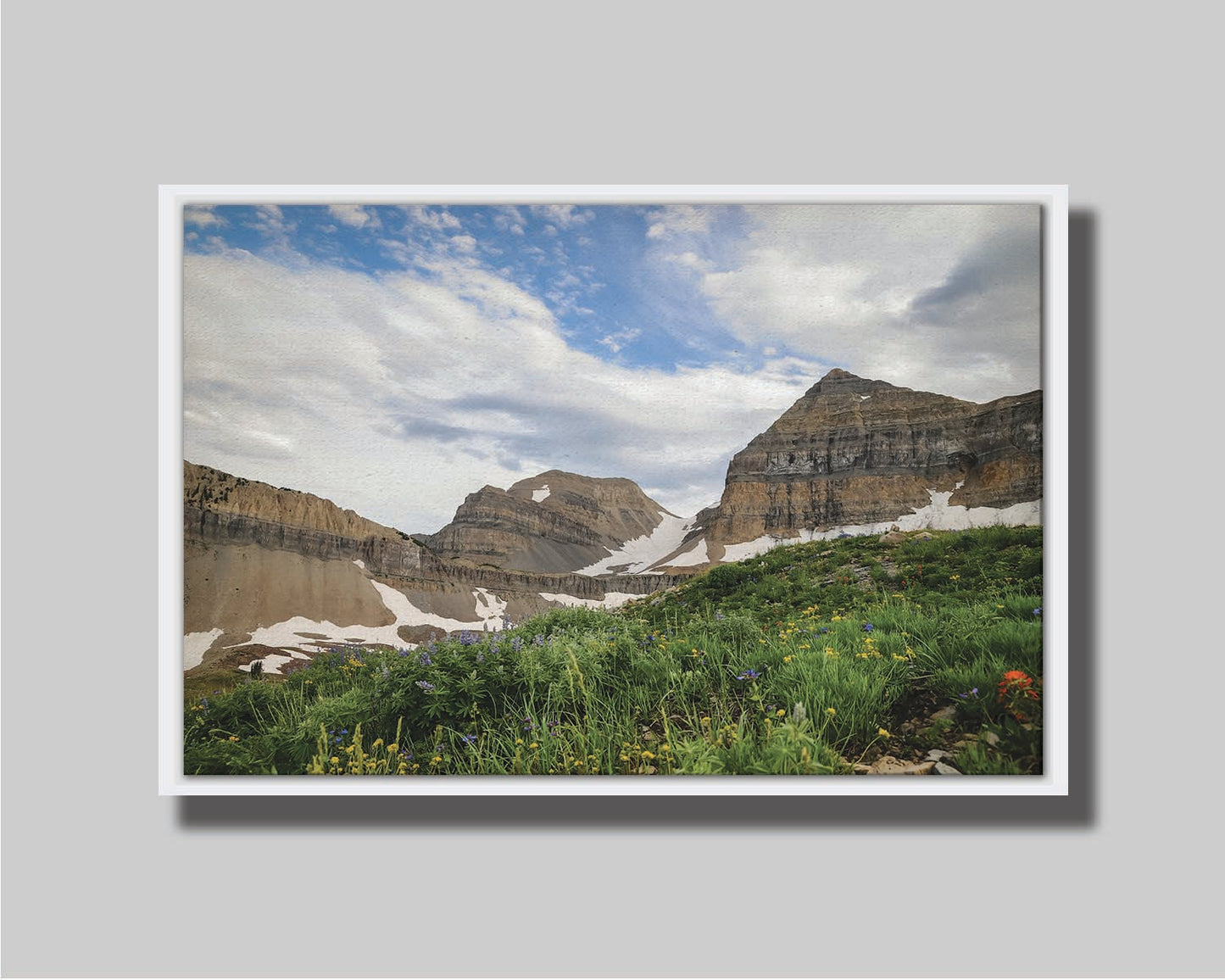 A photo of Mount Timpanogos in the summertime. There are a few banks of snow across the peaks, and a bright green field of wildflowers in full bloom in the foreground. Printed on canvas in a float frame.