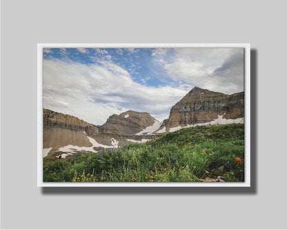 A photo of Mount Timpanogos in the summertime. There are a few banks of snow across the peaks, and a bright green field of wildflowers in full bloom in the foreground. Printed on canvas in a float frame.