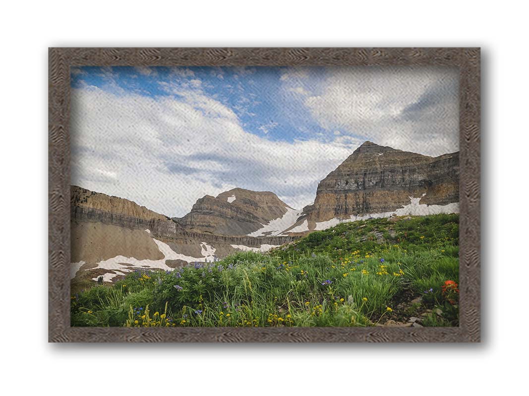 A photo of Mount Timpanogos in the summertime. There are a few banks of snow across the peaks, and a bright green field of wildflowers in full bloom in the foreground. Printed on canvas and framed.