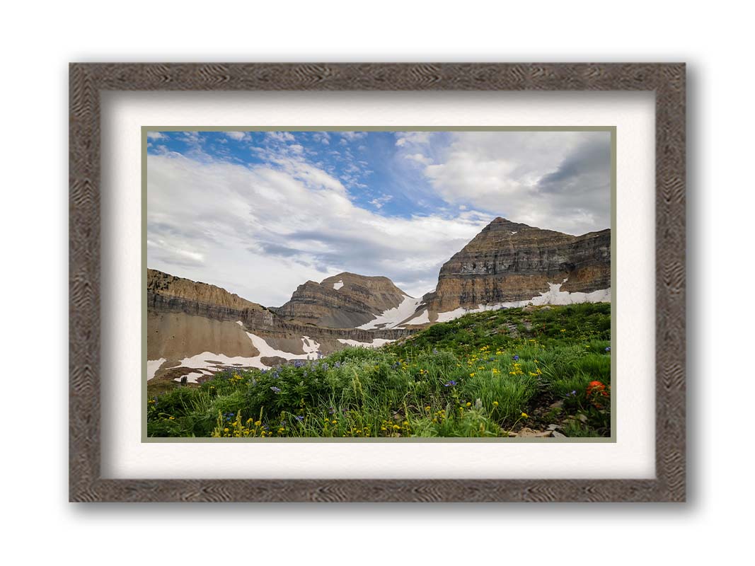 A photo of Mount Timpanogos in the summertime. There are a few banks of snow across the peaks, and a bright green field of wildflowers in full bloom in the foreground. Printed on paper, matted, and framed.