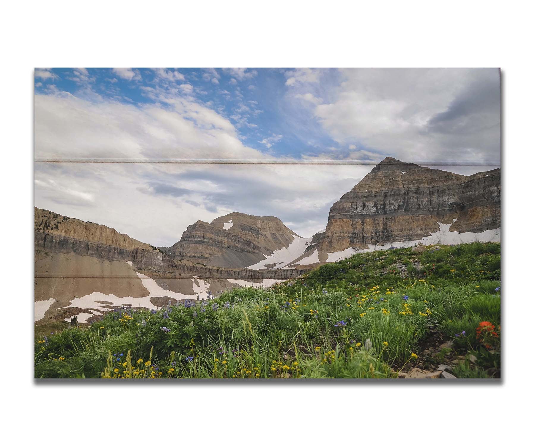 A photo of Mount Timpanogos in the summertime. There are a few banks of snow across the peaks, and a bright green field of wildflowers in full bloom in the foreground. Printed on a box board.