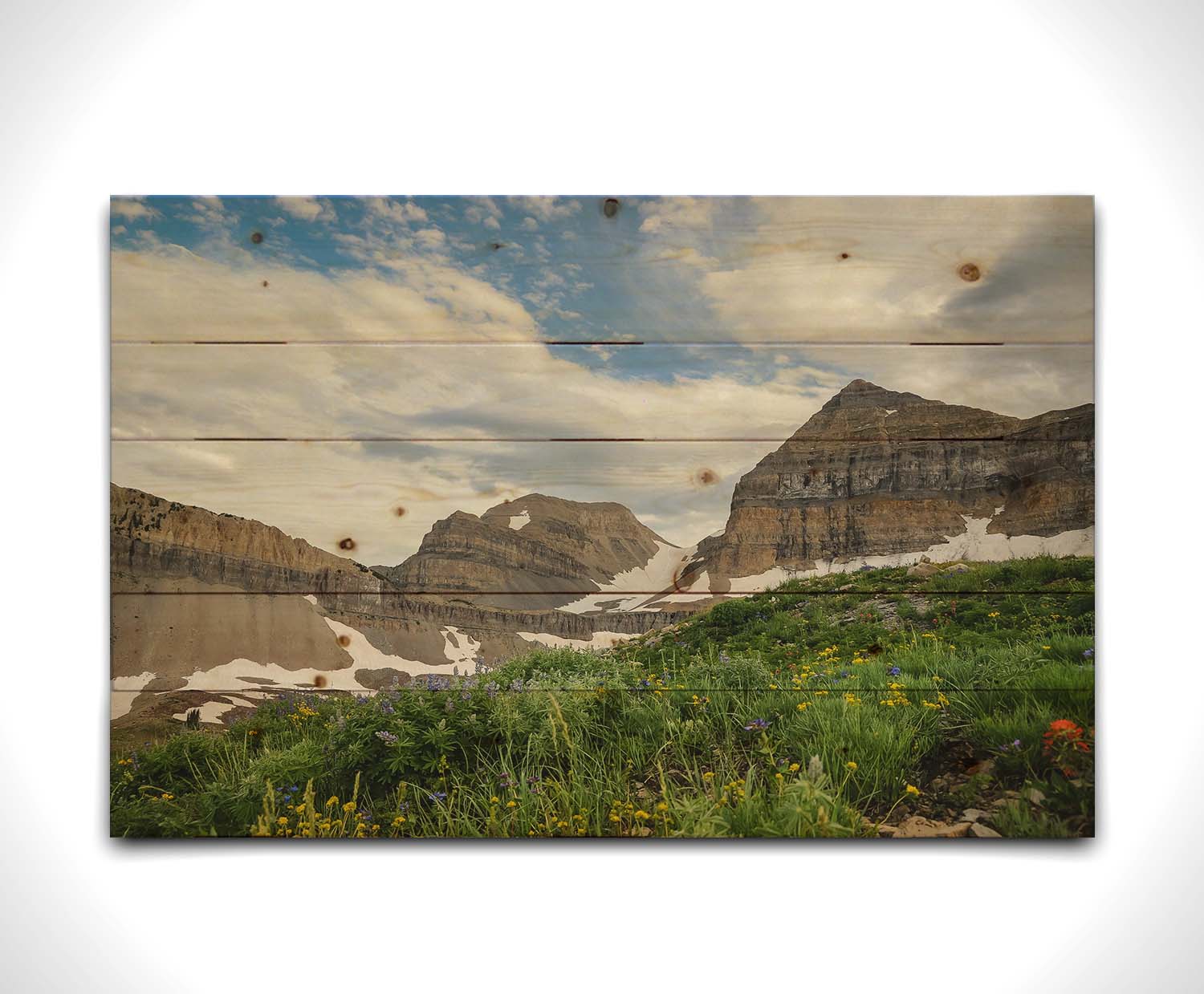 A photo of Mount Timpanogos in the summertime. There are a few banks of snow across the peaks, and a bright green field of wildflowers in full bloom in the foreground. Printed on a wood pallet.