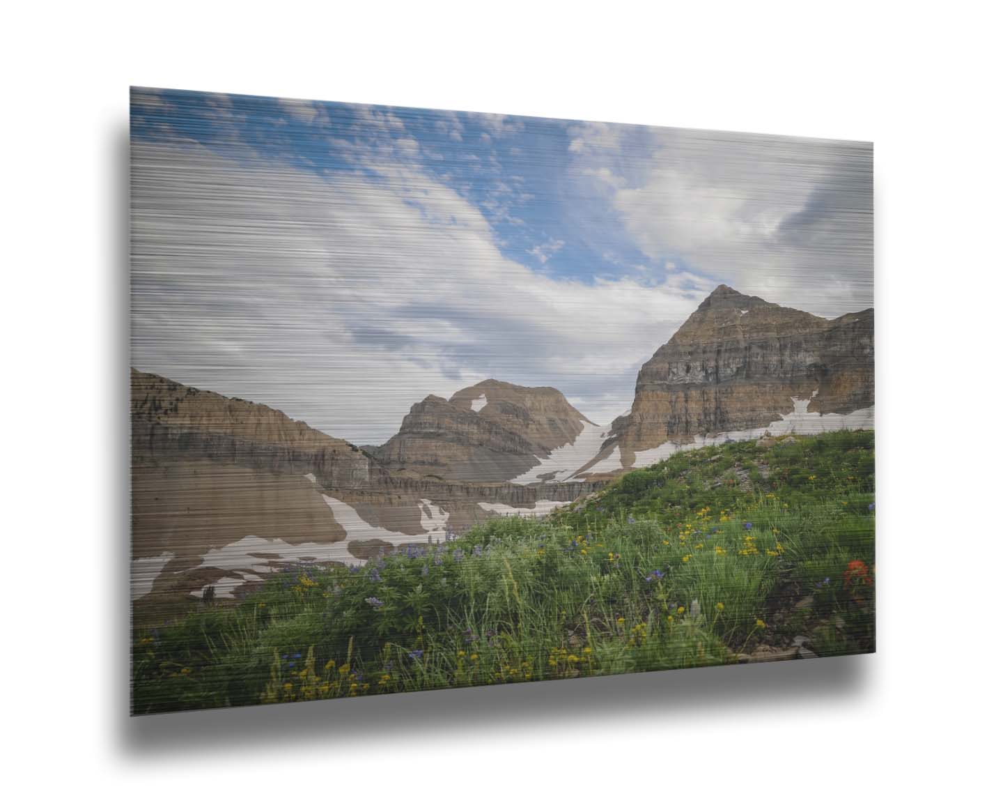 A photo of Mount Timpanogos in the summertime. There are a few banks of snow across the peaks, and a bright green field of wildflowers in full bloom in the foreground. Printed on metal.