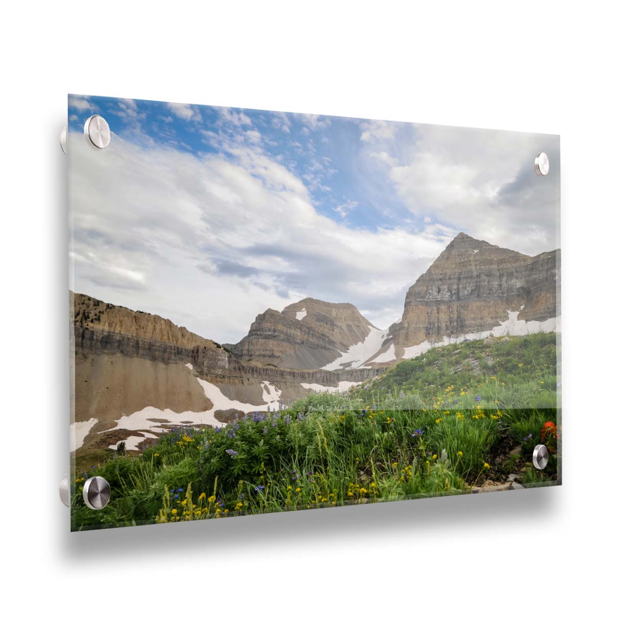 A photo of Mount Timpanogos in the summertime. There are a few banks of snow across the peaks, and a bright green field of wildflowers in full bloom in the foreground. Printed on acrylic.