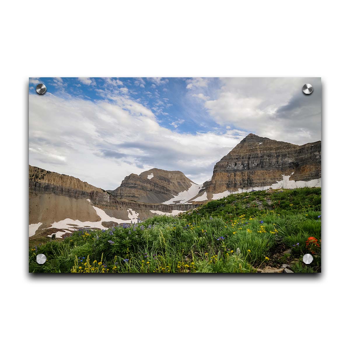 A photo of Mount Timpanogos in the summertime. There are a few banks of snow across the peaks, and a bright green field of wildflowers in full bloom in the foreground. Printed on acrylic.