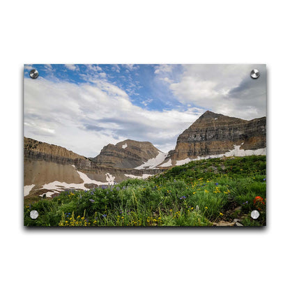 A photo of Mount Timpanogos in the summertime. There are a few banks of snow across the peaks, and a bright green field of wildflowers in full bloom in the foreground. Printed on acrylic.