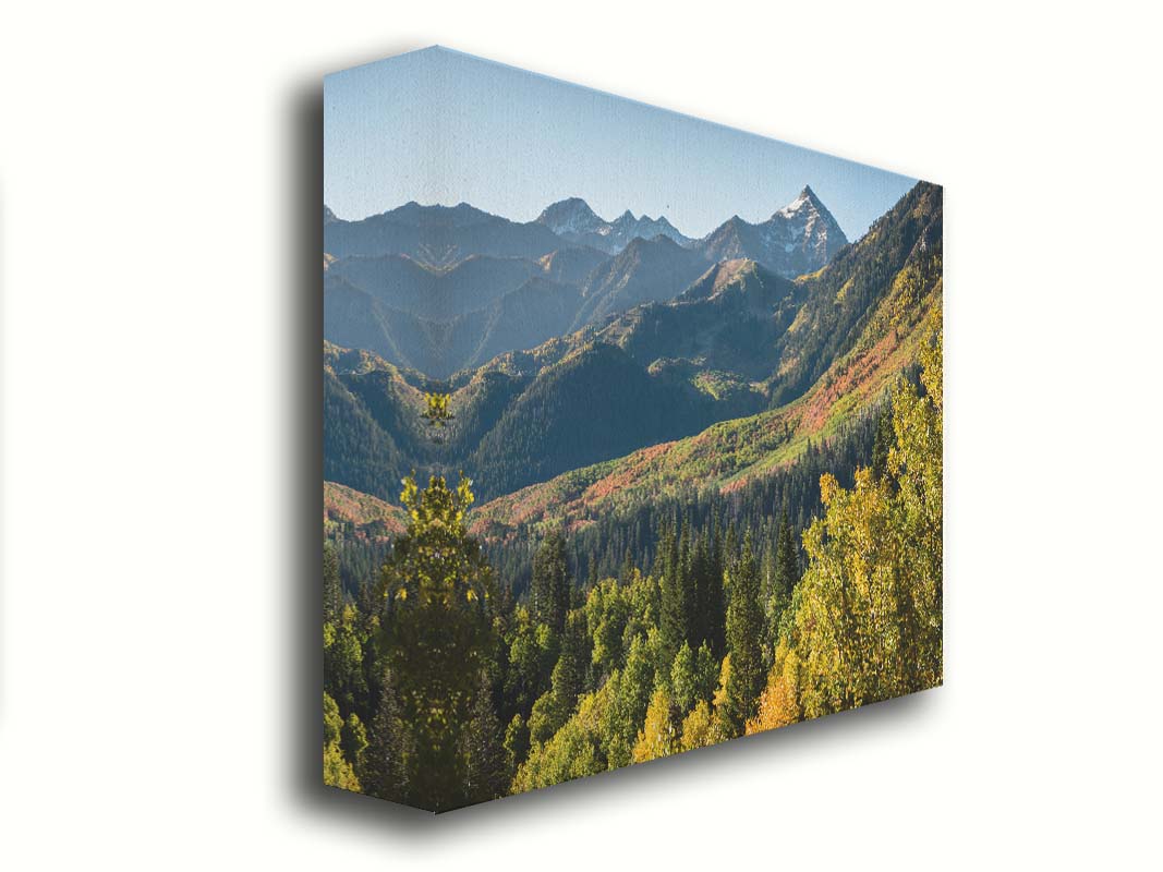 A photo overlooking the Aspen Grove and Cascade Mountain from Sundance Resort in Utah. The trees of Aspen Grove are a mix of deep evergreens and yellow fall aspens. The snow-dusted Cascade Mountain sits in the back, toned blue by atmospheric perspective. Printed on canvas.