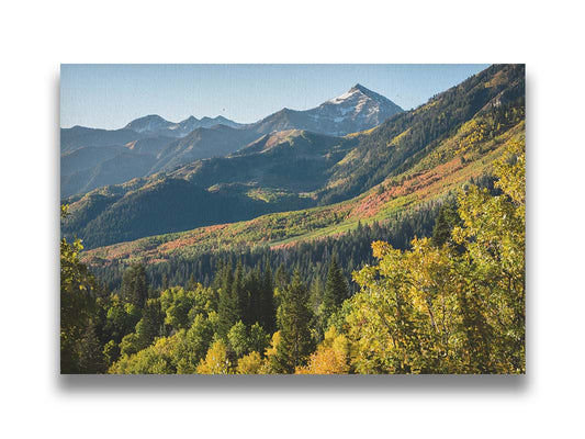 A photo overlooking the Aspen Grove and Cascade Mountain from Sundance Resort in Utah. The trees of Aspen Grove are a mix of deep evergreens and yellow fall aspens. The snow-dusted Cascade Mountain sits in the back, toned blue by atmospheric perspective. Printed on canvas.