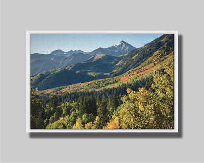 A photo overlooking the Aspen Grove and Cascade Mountain from Sundance Resort in Utah. The trees of Aspen Grove are a mix of deep evergreens and yellow fall aspens. The snow-dusted Cascade Mountain sits in the back, toned blue by atmospheric perspective. Printed on canvas in a float frame.