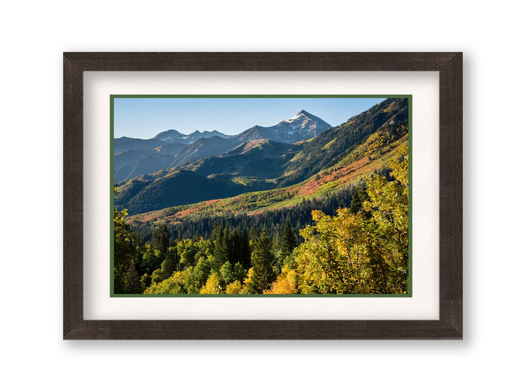 A photo overlooking the Aspen Grove and Cascade Mountain from Sundance Resort in Utah. The trees of Aspen Grove are a mix of deep evergreens and yellow fall aspens. The snow-dusted Cascade Mountain sits in the back, toned blue by atmospheric perspective. Printed on paper, matted, and framed.