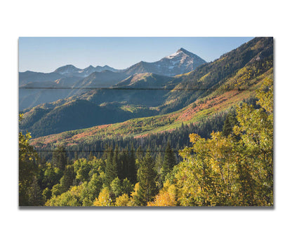 A photo overlooking the Aspen Grove and Cascade Mountain from Sundance Resort in Utah. The trees of Aspen Grove are a mix of deep evergreens and yellow fall aspens. The snow-dusted Cascade Mountain sits in the back, toned blue by atmospheric perspective. Printed on a box board.