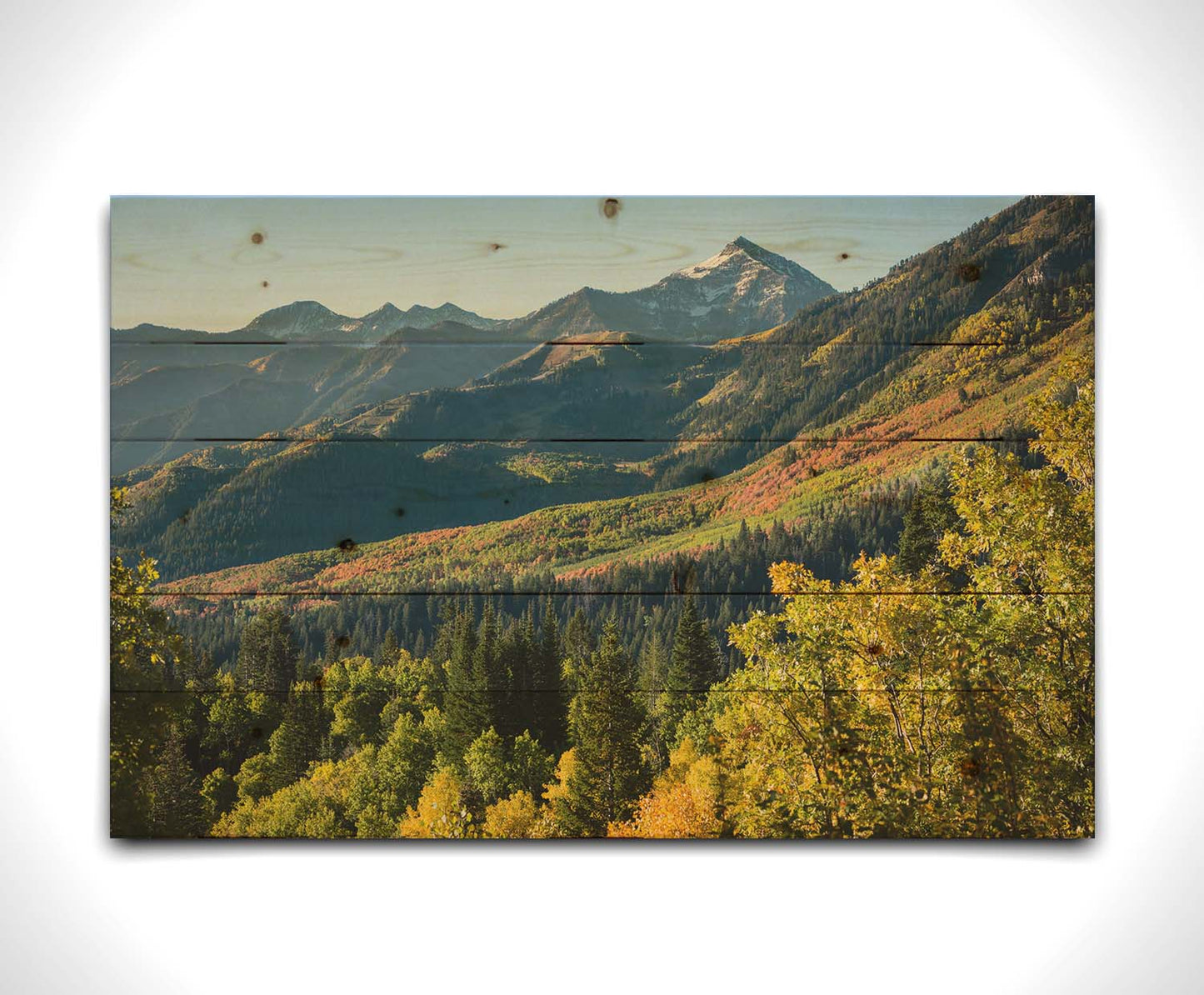 A photo overlooking the Aspen Grove and Cascade Mountain from Sundance Resort in Utah. The trees of Aspen Grove are a mix of deep evergreens and yellow fall aspens. The snow-dusted Cascade Mountain sits in the back, toned blue by atmospheric perspective. Printed on a wood pallet.